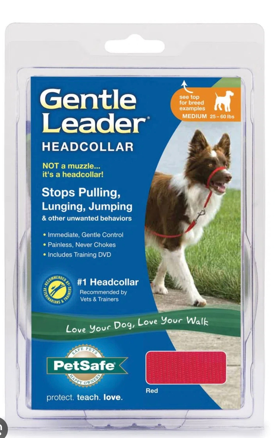 Head Halter (Medium)