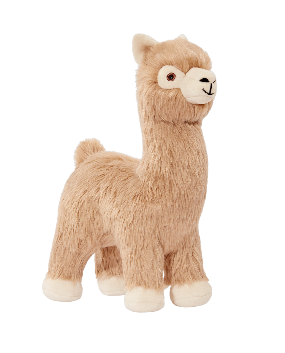 Inca Alpaca