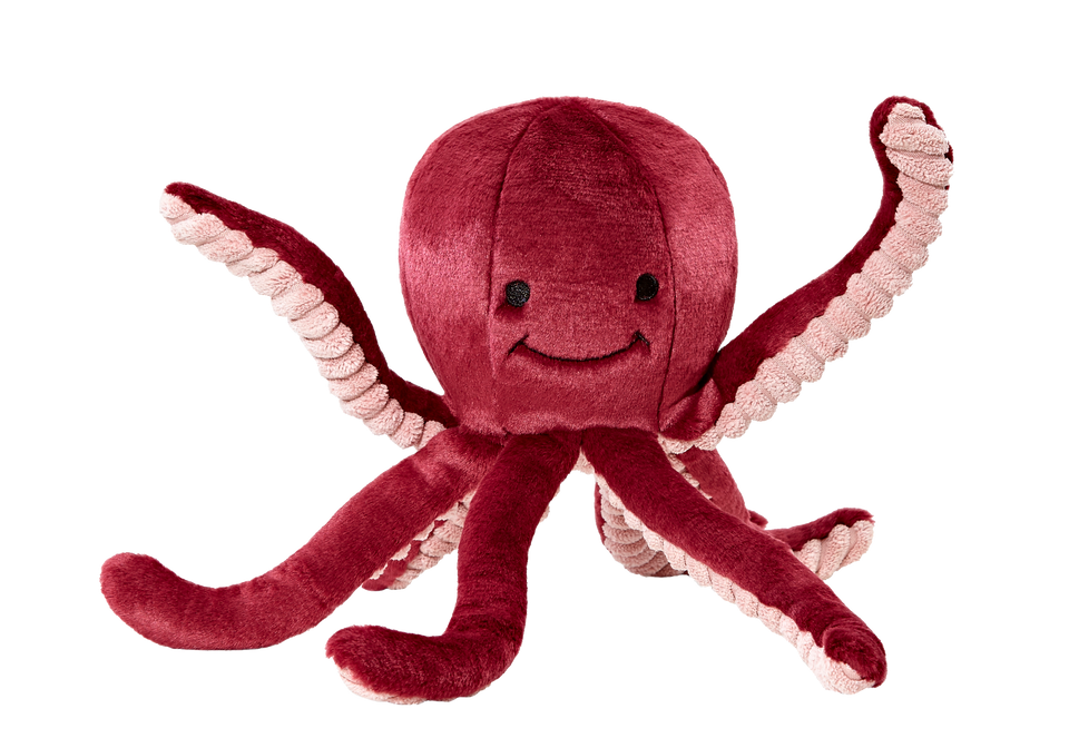 Olympia Octopus