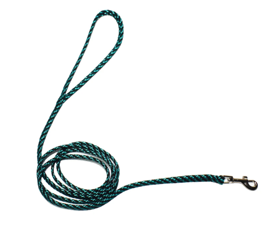 Small Dog | Training Leash | 4ft