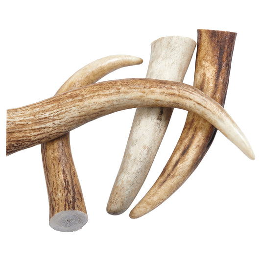 Elk Antler Tips Dog Chews